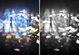 Dreamlike Diptych 8